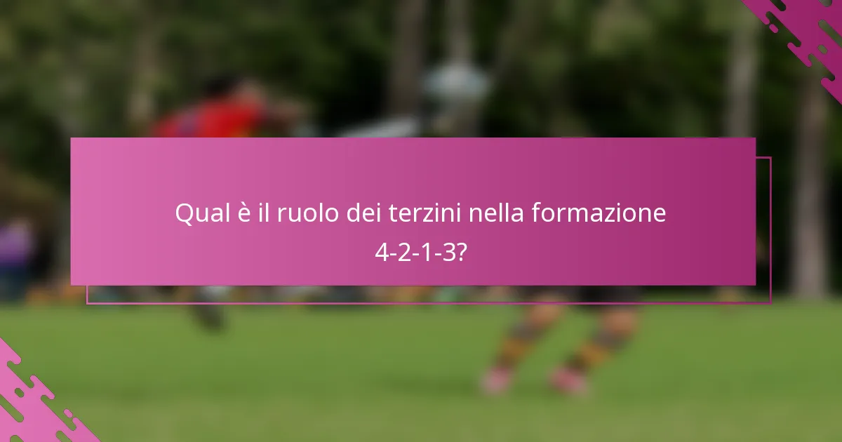 Qual è il ruolo dei terzini nella formazione 4-2-1-3?
