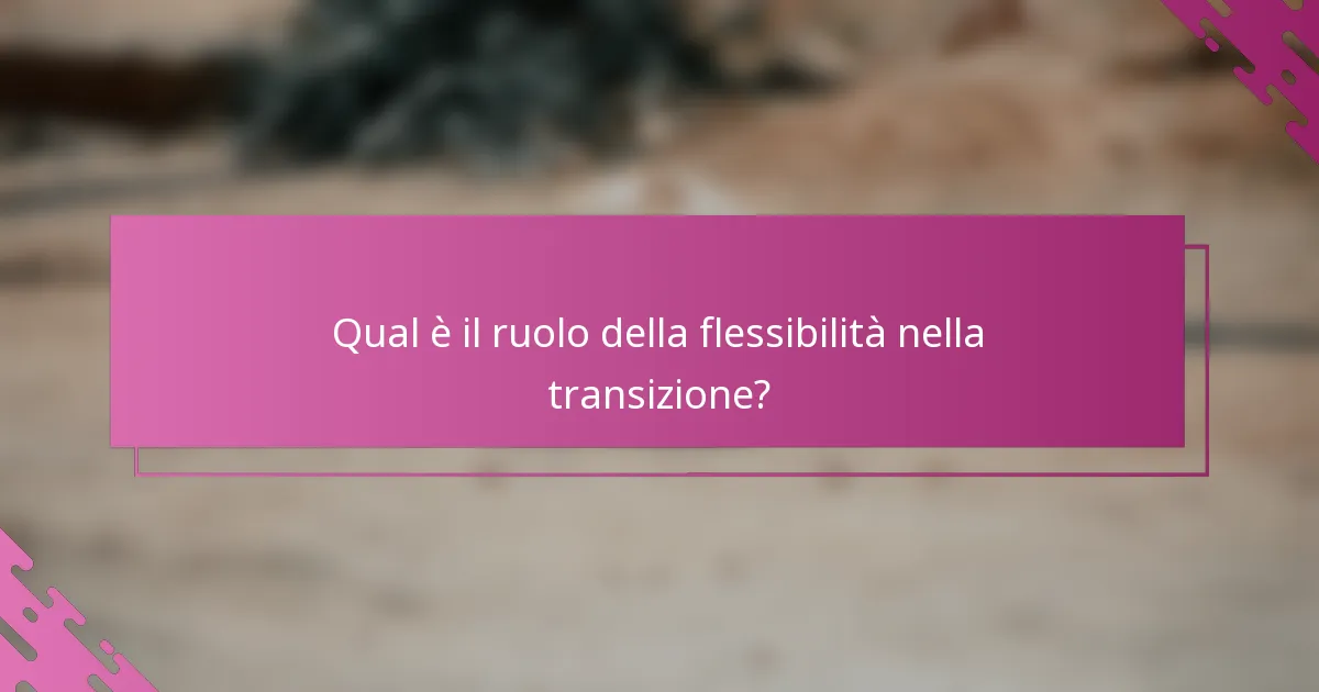 Qual è il ruolo della flessibilità nella transizione?